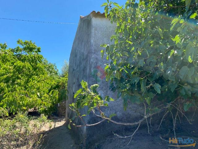 Quintinha, para venda, Castelo de Vide Santa Maria da Devesa | 26063632920