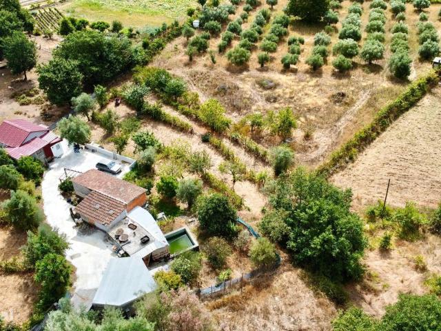 Quintinha para venda em Viseu