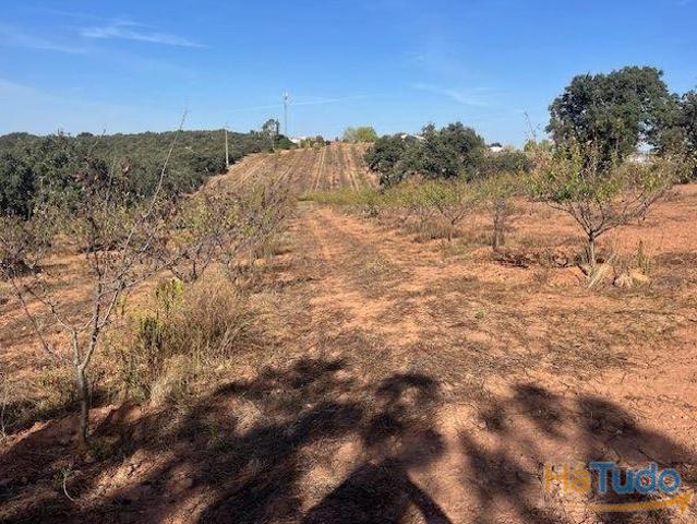 Quintinha, para venda, Estremoz Estremoz | 26084065064