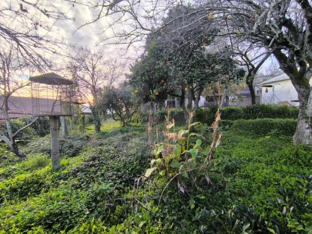 Quintinha para Restauro em Beiriz na Póvoa de Varzim
