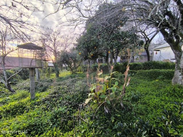 Quintinha para Restauro em Beiriz na Pvoa de Varzim