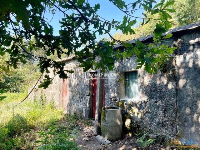 Quintinha Pico São Cristóvão Vila Verde | 24093818439