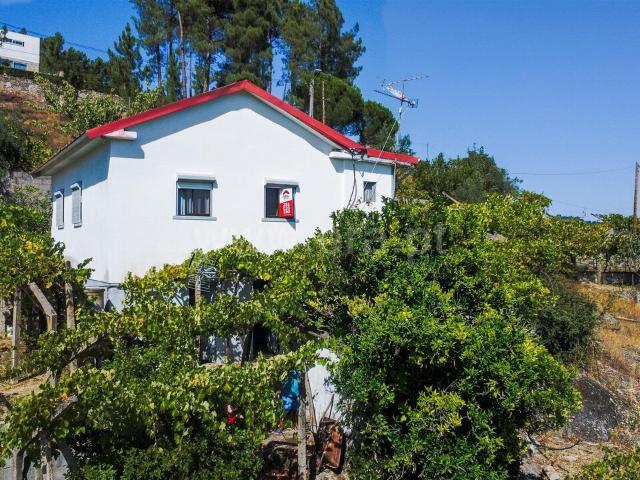 Quintinha T3 / Baião, Santa Cruz do Douro e São Tomé de Covelas
