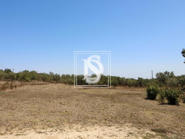 Quintinha T2 em Udf de Santiago do Cacém, Santa Cruz e São B. 64m² Santiago do Cacém, Santa Cruz e São Bartolomeu da Serra