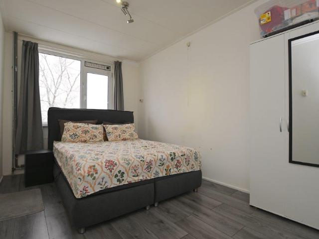 Quintusweg, Groningen Amsterdam Apartments for Rent