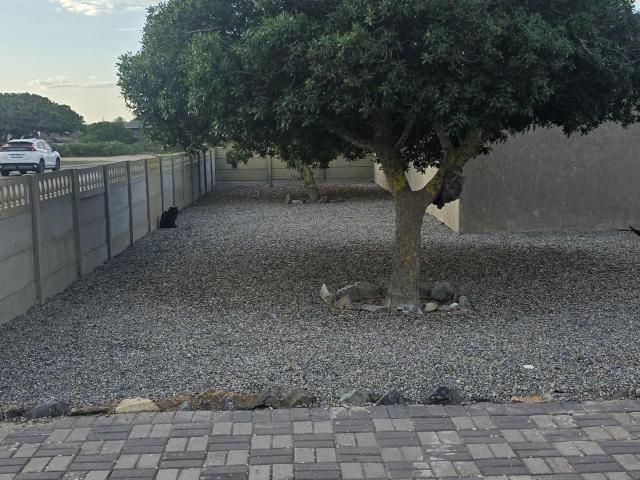 R18,000 pm 3 Bedroom House To Let in Middedorp