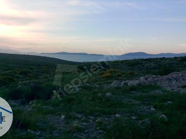 R8ÇEŞME GERMİYAN FULL DENİZ MANZARALI 500 M2 ARSA !