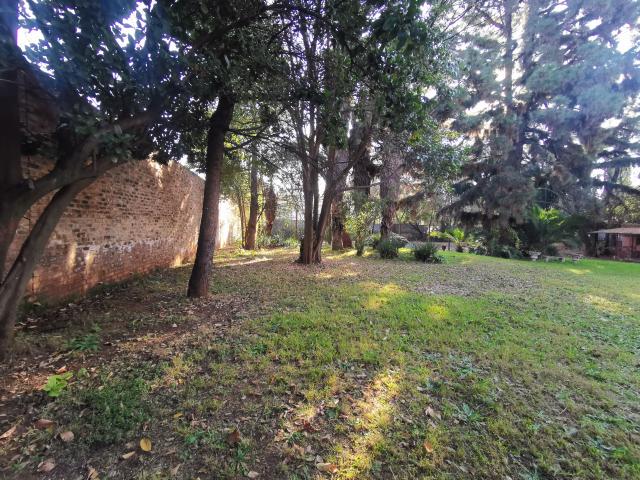 R8,500 pm 1 Bedroom Garden Cottage To Let in Houghton Estate