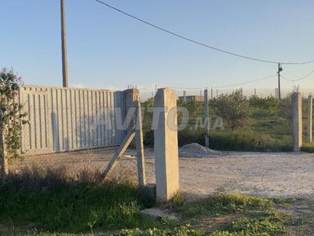 آرض محفضة على الشارع 13كم من البحراوي