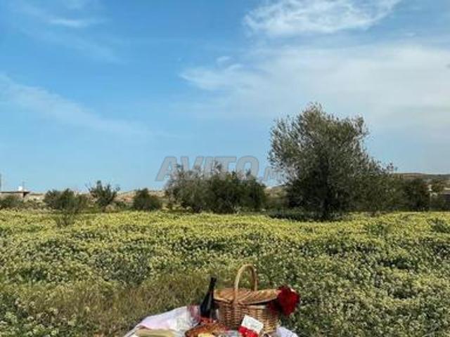 أرض محفظة بمدينة شفشاون