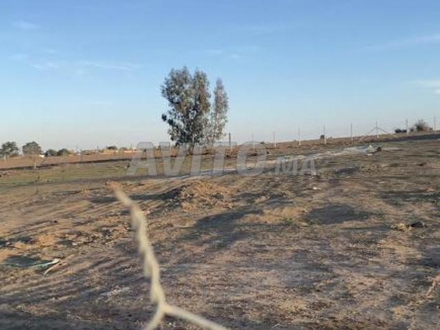 ارض ممتازة بئر وسياج وباب حديدي