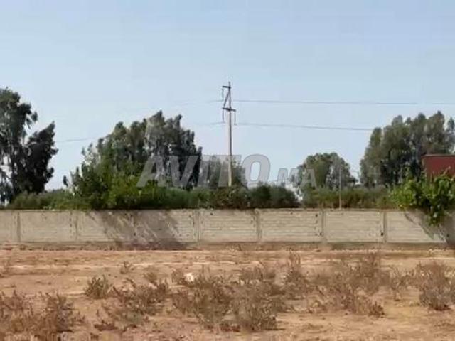 ارضً8000 متر محفضة مربعة 7كم من بحراوي