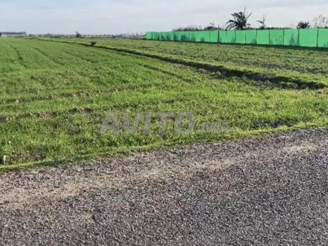 ارض فيها 4000متر نواحي البحراوي