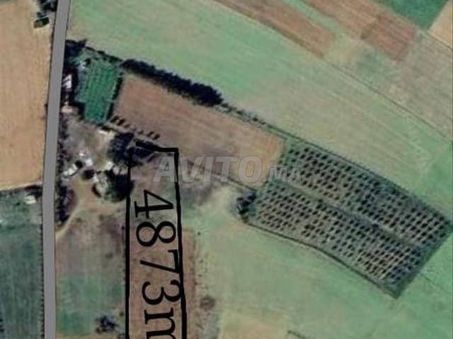 Terrain agricole 4873 m² région Sidi Abd Razzak Khzazna