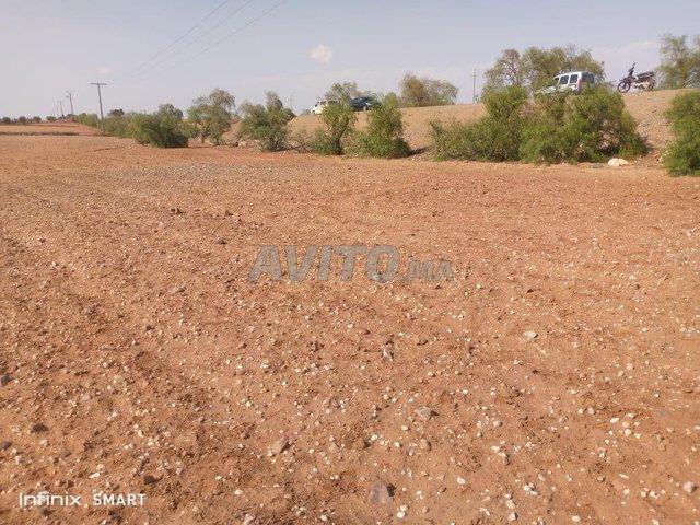 ارض فلاحية صخور الرحامنة