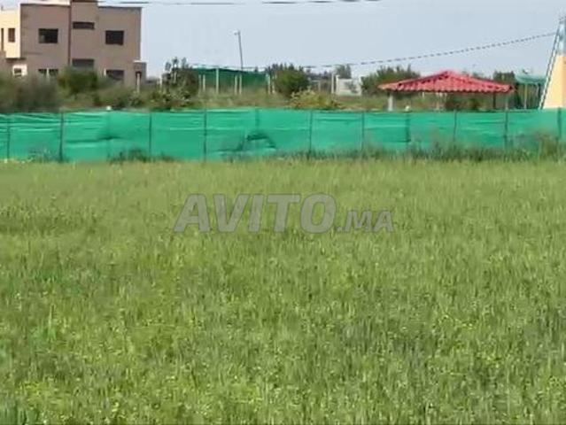Terrain agricole d'un hectare et demi titré au milieu des fermes