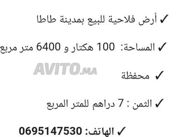 أرض فلاحية للبيع بمدينة طاطا