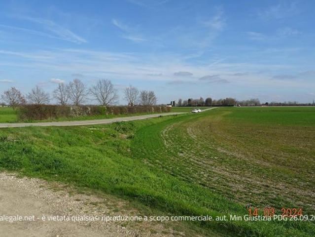 R.G.E. 407/2023 Pavia