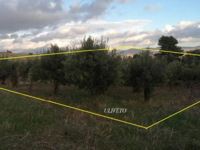 R.G.E. 87/2024 Trapani