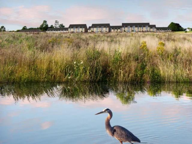 Rækkehus midt i naturens ro og tæt på byen