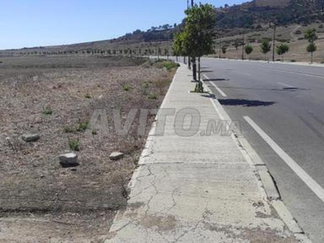 أرض للبيع و للكراء في طنجة