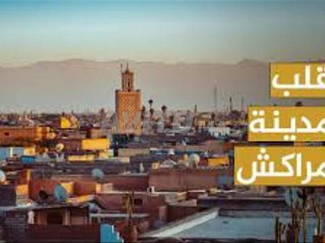 ارض للبيع بحي النخيل جماعة سيدي يوسف