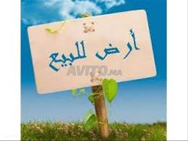 ارض للبيع بوسافو 2
