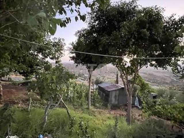 أرض للبيع في جبل لحبيب 2400 متر و منزل