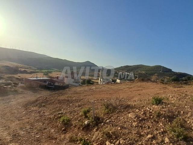 ارض للبيع طنجة ملوسة فحص انجرة