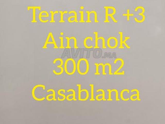 R p 3 Terrain 2 face 300 m2 a Ain chock