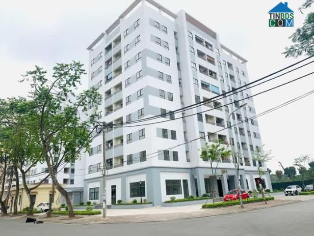 Rẻ Tốt Đẹp Pháp Lý Vũng Vàng. NO7 Sài Đồng. Nhận Nhà Ở Ngay Sổ Đỏ Trao Tay