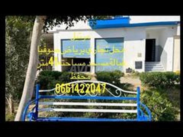 رياض صوفيا قبالت مسجد صوفيا