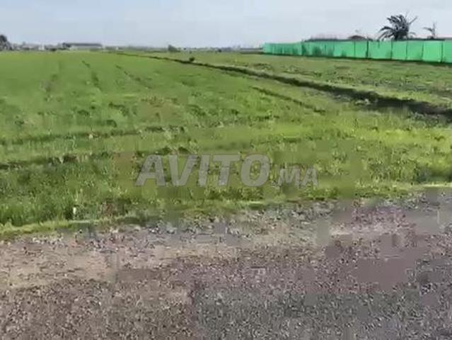 ارض 4000متر على طريق همزة
