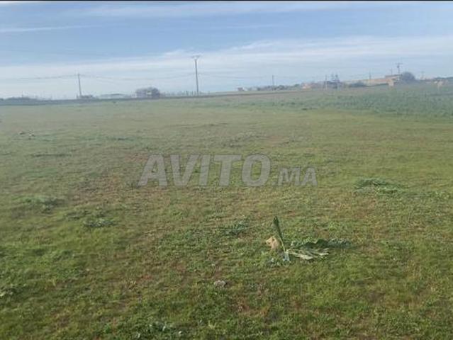 أرض 9000محفضة ممتازة فيها دراسة فرشة بئر