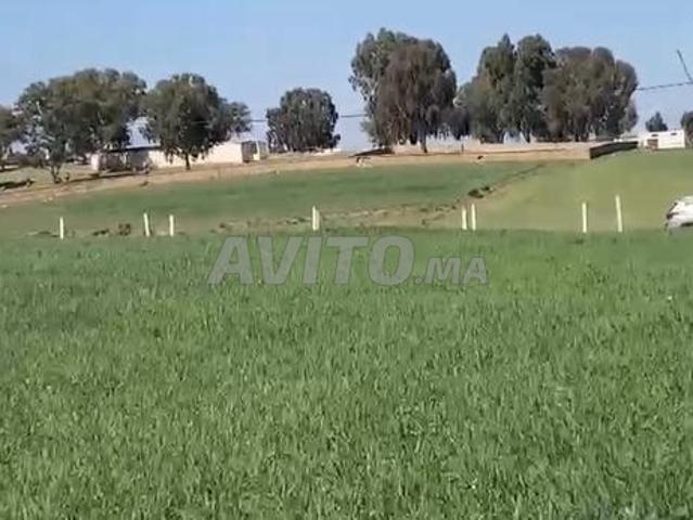 ارض 9000متر محفضة فيها دراسة مياه جوفية