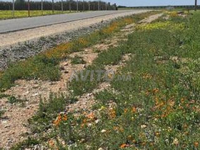 Terrain de 9000m² titré et autorisé à construire à 7km de la ville