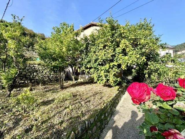 VIAGER OCCUPE MAISON TERRAIN RCM