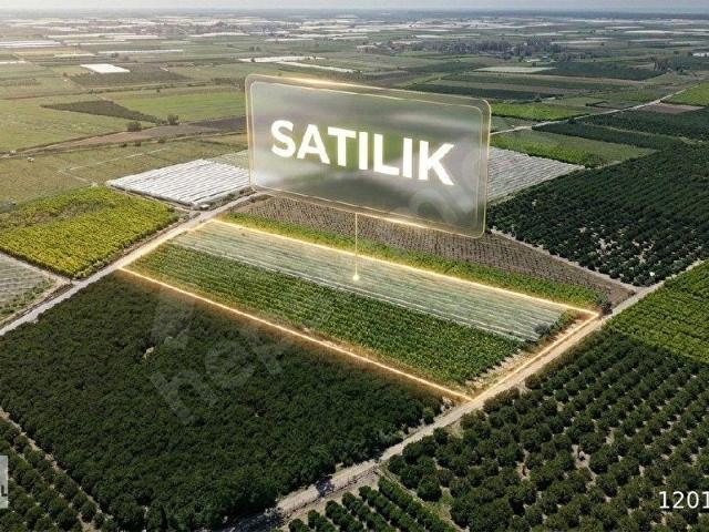 RA GAYRİMENKULDEN ATALAR MAHALLESİNDE GÜZEL LOKASYON DA NEKTARİN BAHÇESİ