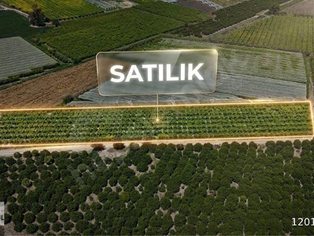 RA GAYRMENKUL ATALAR MH HARİKA KONUM NEKTARİ BAHÇESİ