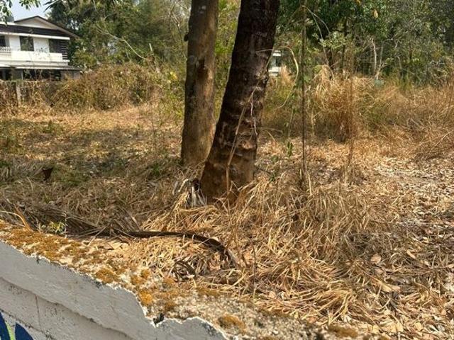 Ramavarmapuram, Thrissur City 5445 Sq.Ft. Plot in Ramavarmapuram Thrissur Listing ID: #9981