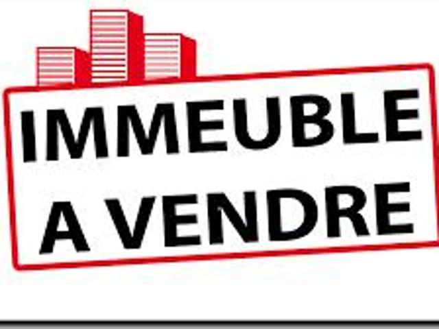 Rambervillers Vente Maison 88