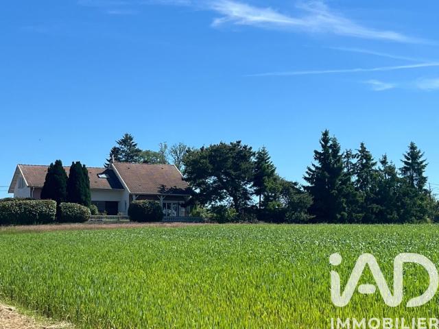 Rambervillers Vente Maison 88