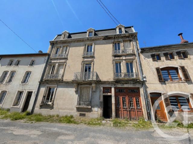 Rambervillers Vente Immeuble 88