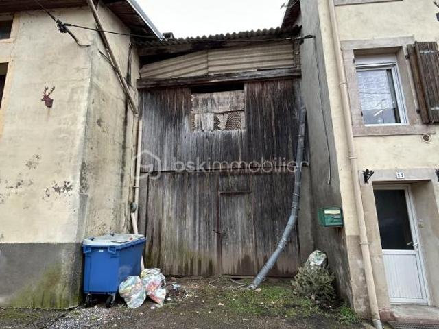 Rambervillers Vente Immeuble 88