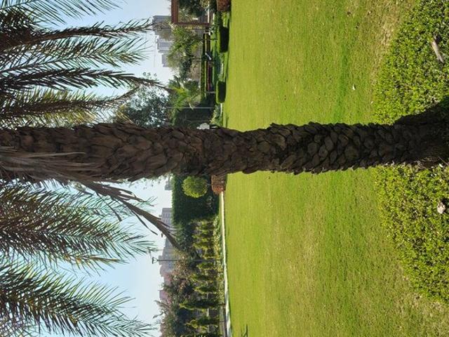 Rambha Corona Greens 157 Sq. Yd. Plot in Sohna Sector 5 Gurgaon Listing ID: #10116