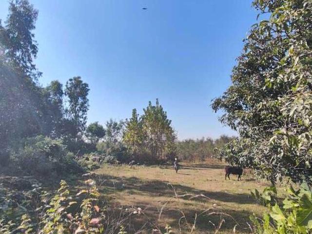Ramnagar Commercial Land 6804 Sq. Ft. in Ramnagar Nainital Listing ID: #10386