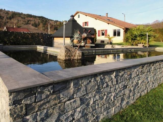 Ramonchamp Vente Maison 88