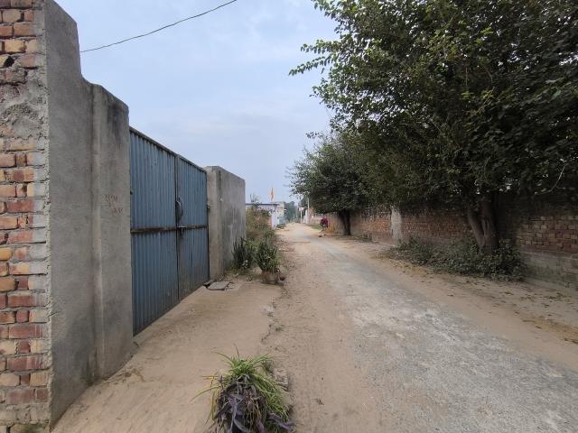 Rampur Pataudi Plots 250 Sq. Yd. Plot in Pataudi Gurgaon Listing ID: #9939
