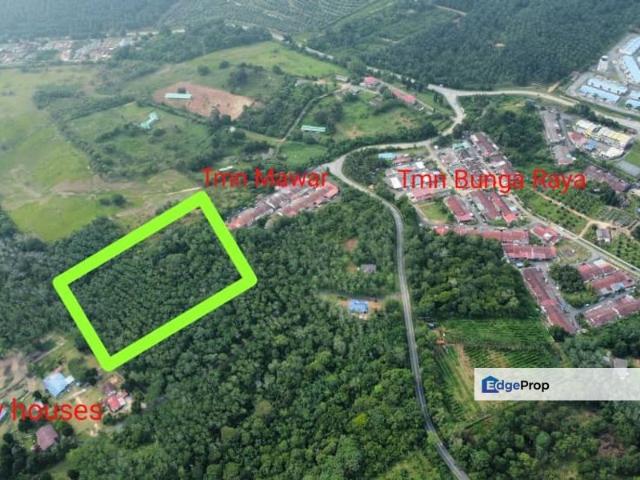 Rantau