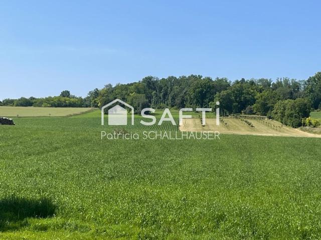 Rantzwiller Vente Terrain 68
